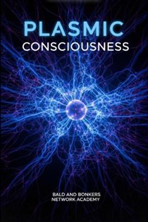 Plasmic Consciousness